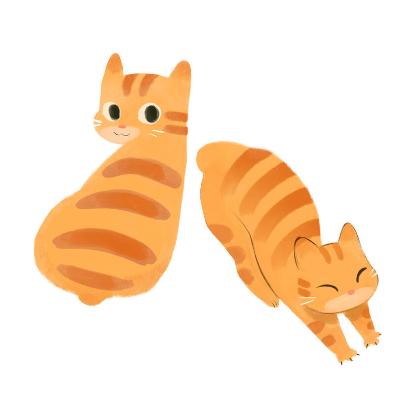 Illustration